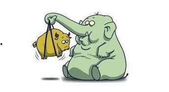 散户吃瓜观望视频,揭秘股市中的“旁观者心态”