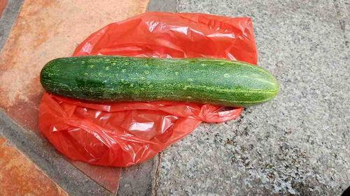 生瓜能煮吃吗,能否煮熟后食用揭秘