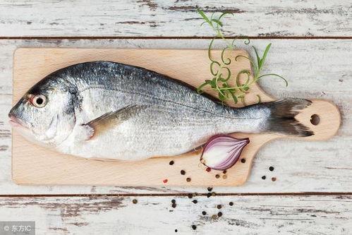 吃瓜吃鱼游戏,趣味盎然的互动游戏体验