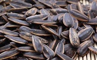 吃瓜把瓜子吃了,吃瓜群众瓜子之旅