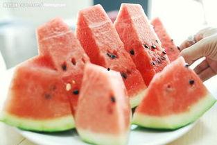 吃瓜就是爱专业,揭秘网络时代下的娱乐狂欢与心理探秘