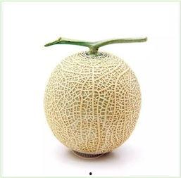 吃瓜文书法,趣味横生的文字艺术展现