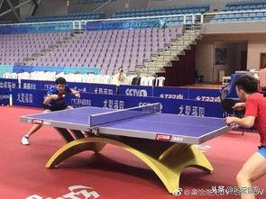 乒超吃瓜,一场场精彩对决背后的“吃瓜”故事