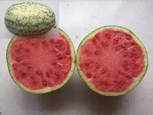 带你吃瓜发明,带你探索“带你吃瓜”现象背后的文化内涵