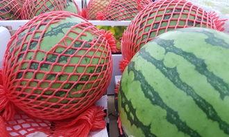 吃瓜如何被检测,如何通过“吃瓜”行为检测个人隐私泄露风险