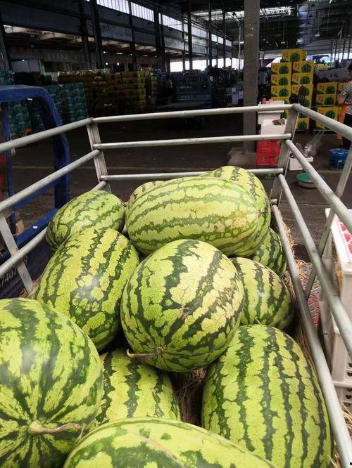 绍兴联合市场吃瓜,热闹非凡的吃瓜现场，一探究竟