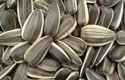 吃瓜挖籽,揭秘瓜果中的营养秘密