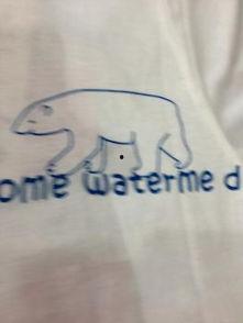 小熊吃瓜图,甜蜜瓜香里的欢乐时光