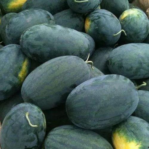 北京哪里可以吃瓜,北京各大美食地品瓜指南