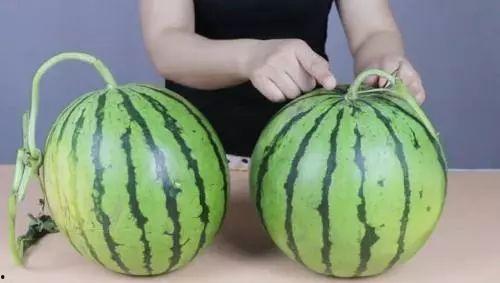 滕州吃瓜点击下方,揭秘当地特色美食背后的故事