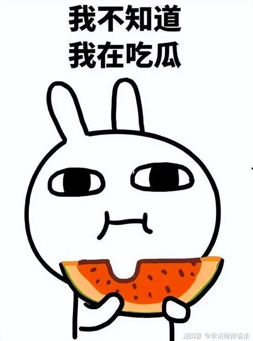 高飞吃瓜,揭秘娱乐圈背后的那些事儿