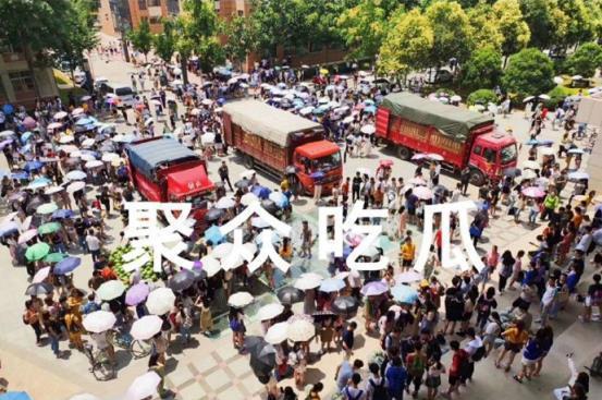 聚众吃瓜,揭秘聚众吃瓜背后的社会现象