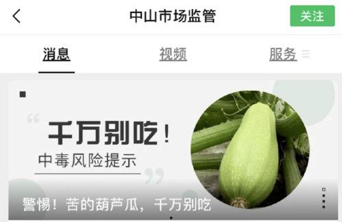 吃瓜广东,探寻粤菜美食背后的文化故事