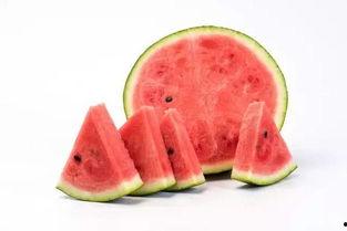 去瓜地吃西瓜,探寻去瓜地品尝新鲜西瓜的乐趣