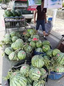 沂水最新吃瓜事件