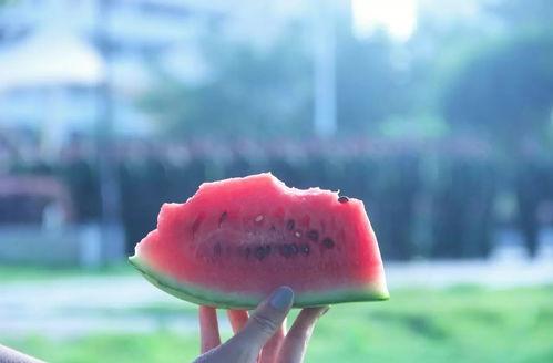 全世界靠我吃瓜,揭秘全球“吃瓜群众”的狂欢世界