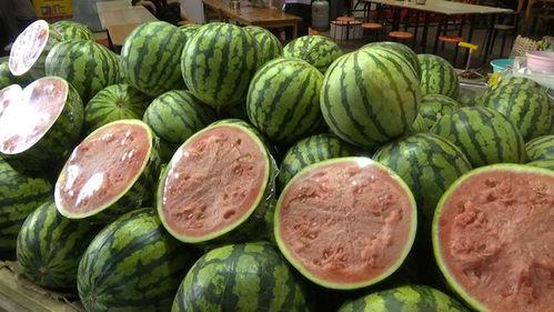 吃自由的瓜,品味生活的甜蜜与自由