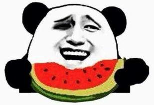 以为吃瓜群众视频,揭秘吃瓜群众视角下的热门视频幕后故事