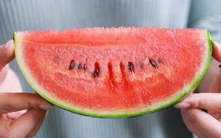 杭州青歌社吃瓜,一场别开生面的吃瓜盛宴