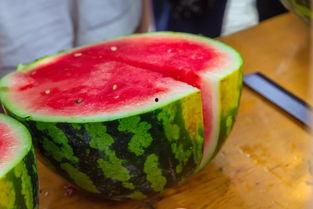 烟台黄金学院吃瓜,校园吃瓜事件背后的校园生活点滴