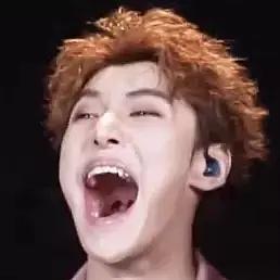 吃瓜的leo,揭秘娱乐圈幕后故事