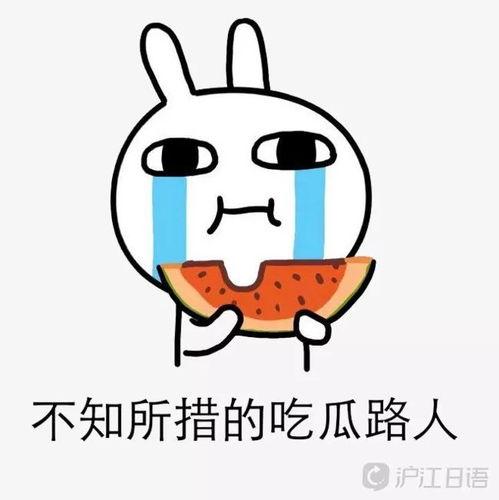 吃瓜妙语,妙语连珠，轻松解锁娱乐圈风云