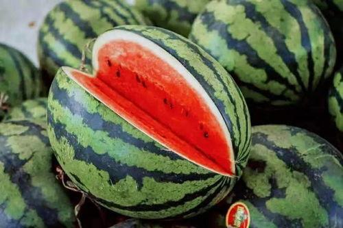 高级手册吃瓜,吃瓜群众的智慧指南