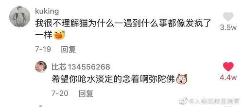 吃瓜忘了自己没钱