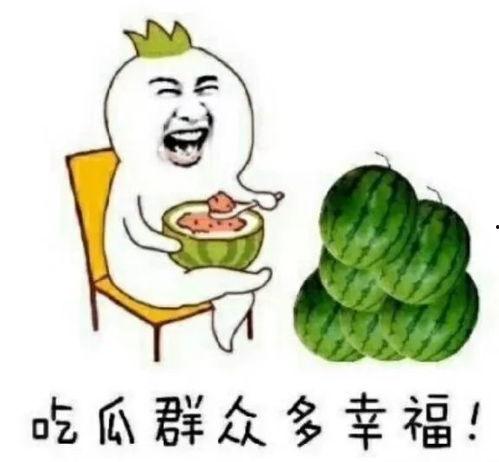 吃瓜摩友圈,揭秘摩托车圈的那些事儿