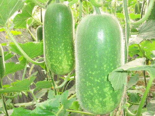 喃喃吃瓜,揭秘娱乐圈那些不为人知的幕后故事