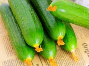 网纹瓜适合孕妇吃吗,孕妇饮食佳选，营养健康两不误